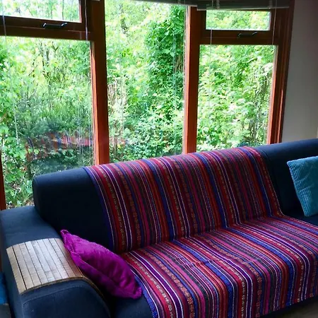 Campanula 188 Chalet